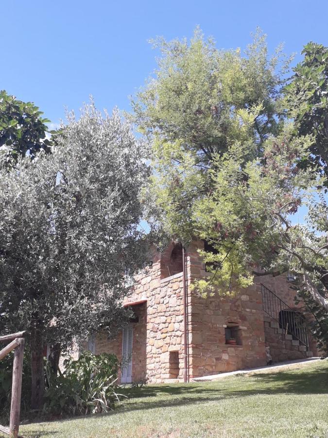 Holiday home Casolare Il Moro Monte San Savino